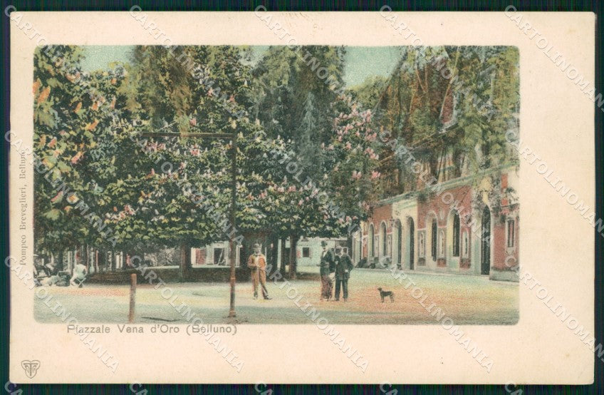 Belluno Città PIEGHINA cartolina QT3703 – fronte