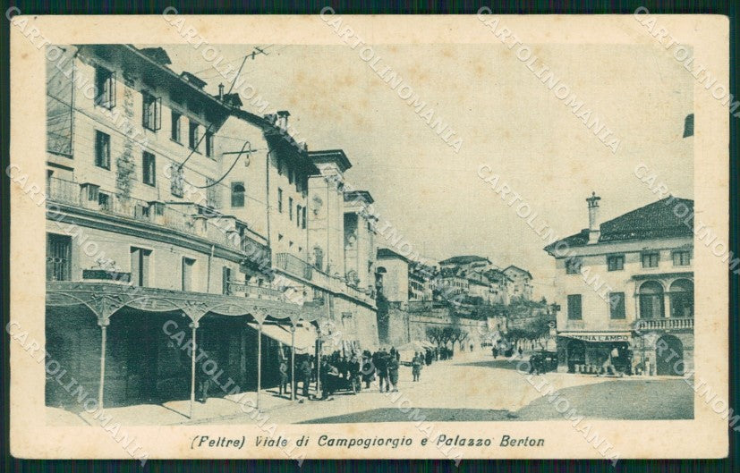 Belluno Feltre Palazzo Berton PIEGHE cartolina QT3738 – fronte