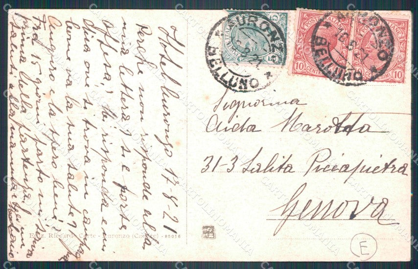 Belluno Auronzo di Cadore Camoscio cartolina QT3769 – retro