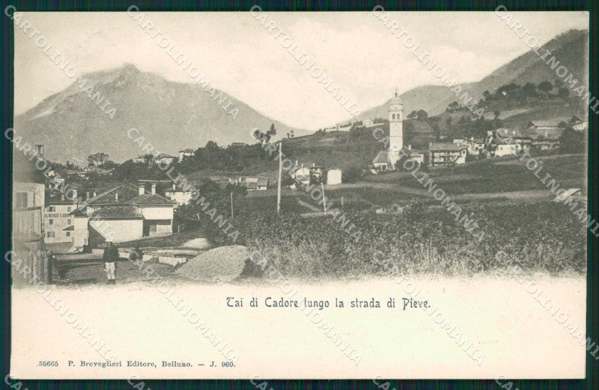 Belluno Tai di Cadore cartolina QT3771 – fronte