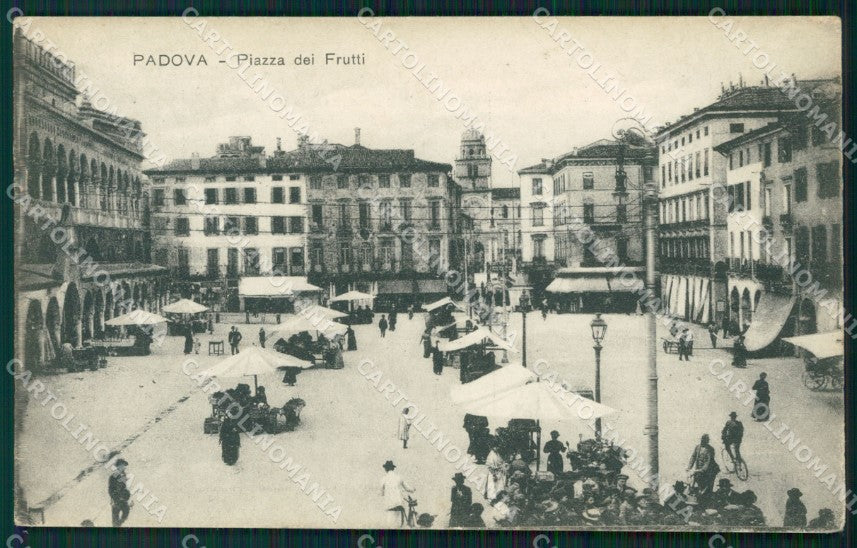 Padova Città Piazza dei Frutti Mercato cartolina QT3825 – fronte