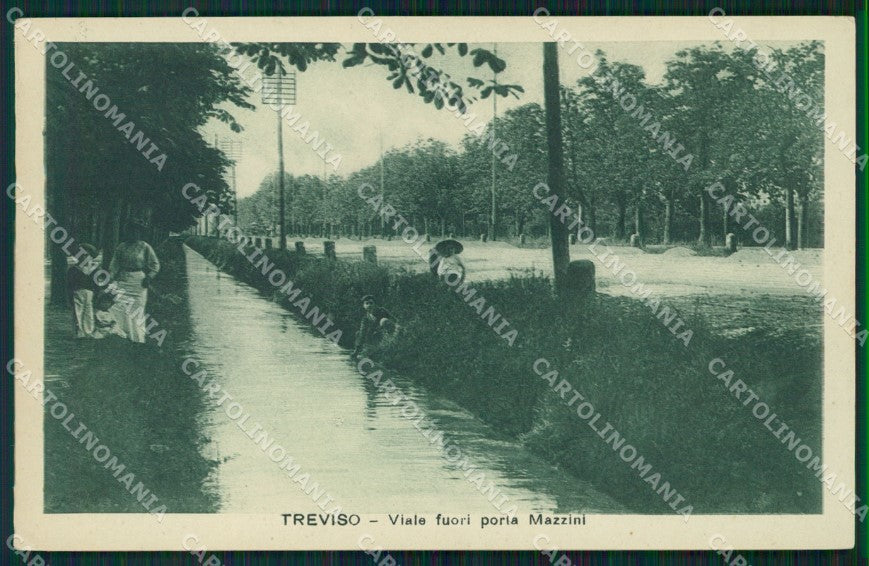 Treviso Città PIEGHINA cartolina QT3946 – fronte
