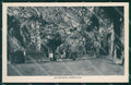 Slovenia Postumia Grotte di cartolina QT4111 – fronte