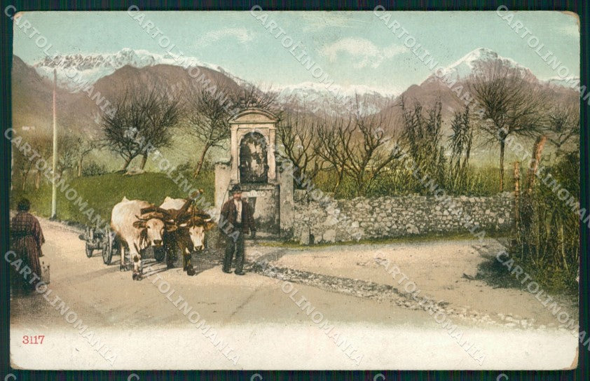 Trento Arco Buoi cartolina QT4179 – fronte
