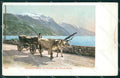 Trento Lago di Garda Strada del Ponale Buoi ABRASA cartolina QT4254 – fronte
