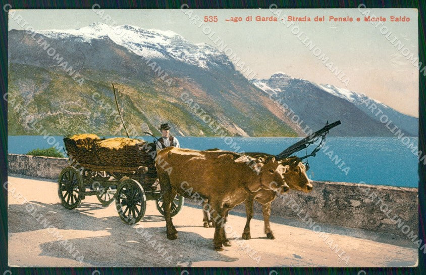 Trento Lago di Garda Strada del Ponale Buoi cartolina QT4255 – fronte