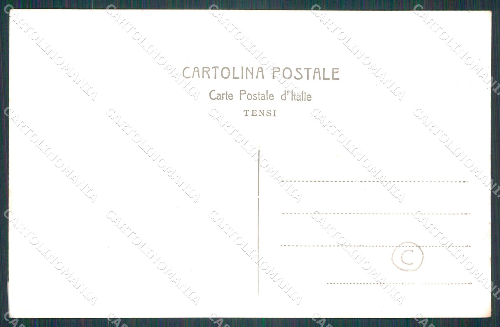 Verona Città Foto cartolina QT4316 – retro