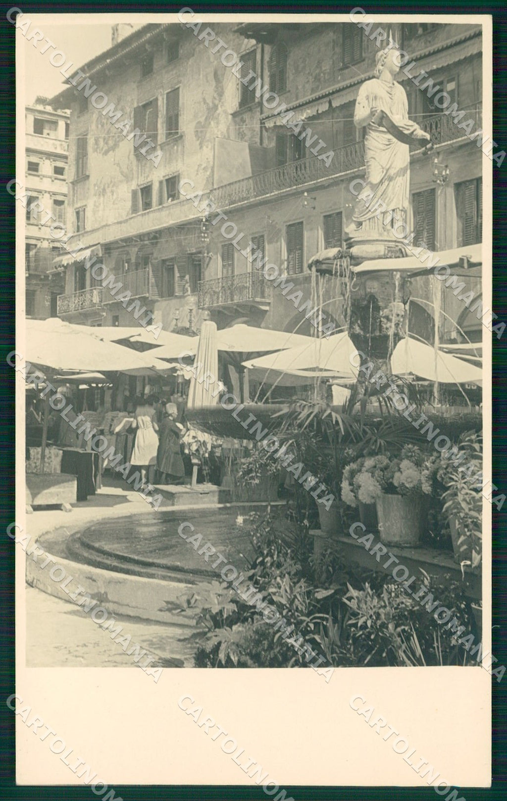 Verona Città Piazza Erbe Mercato Foto cartolina QT4360 – fronte