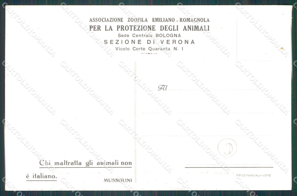 Verona Città Bologna Associazione Protezione Animali cartolina QT4409 – retro