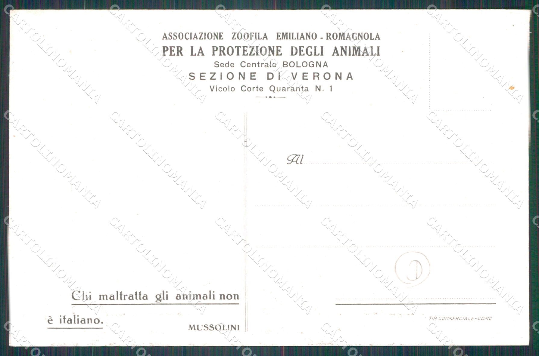 Verona Città Bologna Associazione Protezione Animali cartolina QT4409 – retro