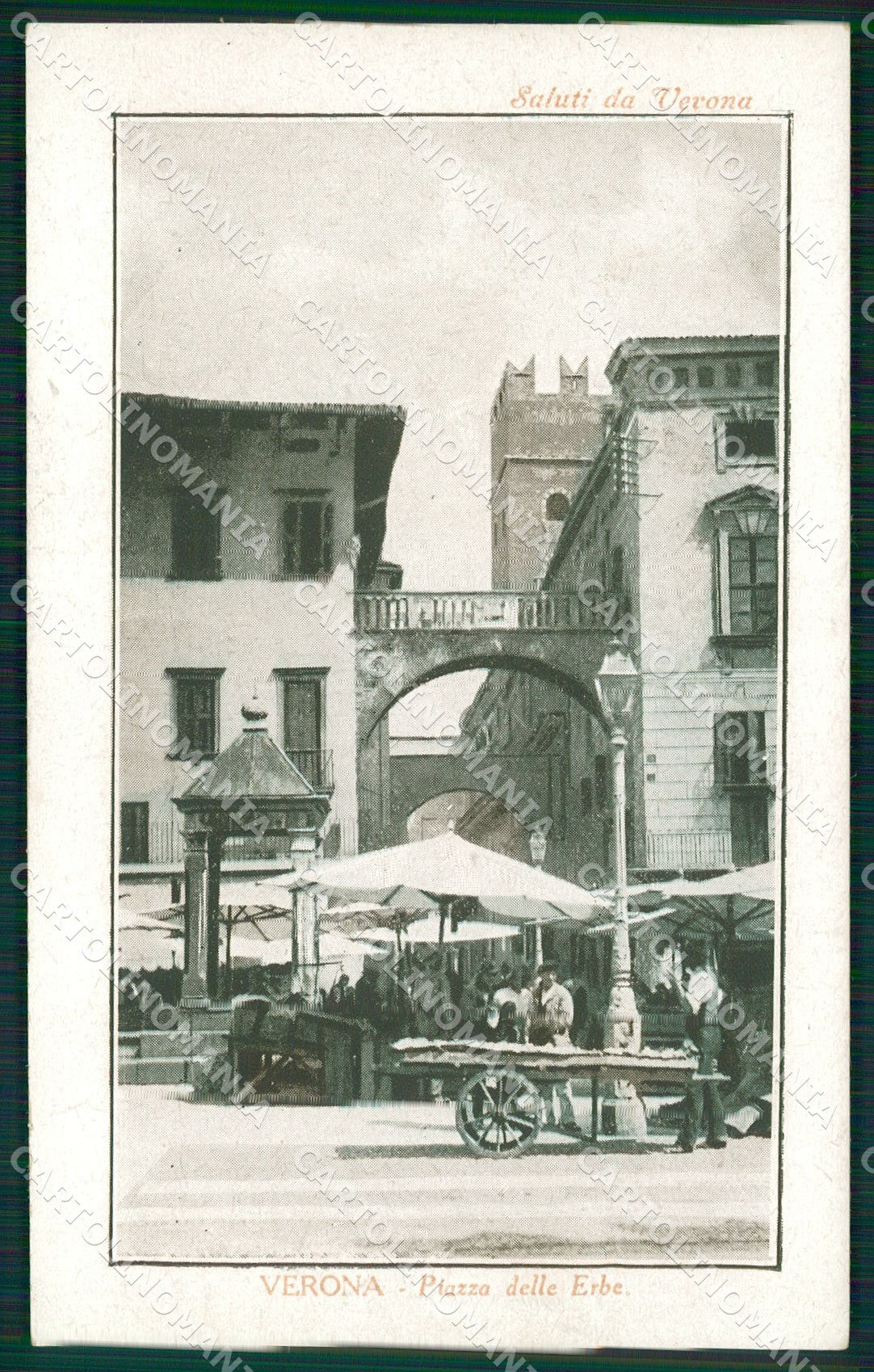 Verona Città Piazza Erbe Mercato cartolina QT4425 – fronte