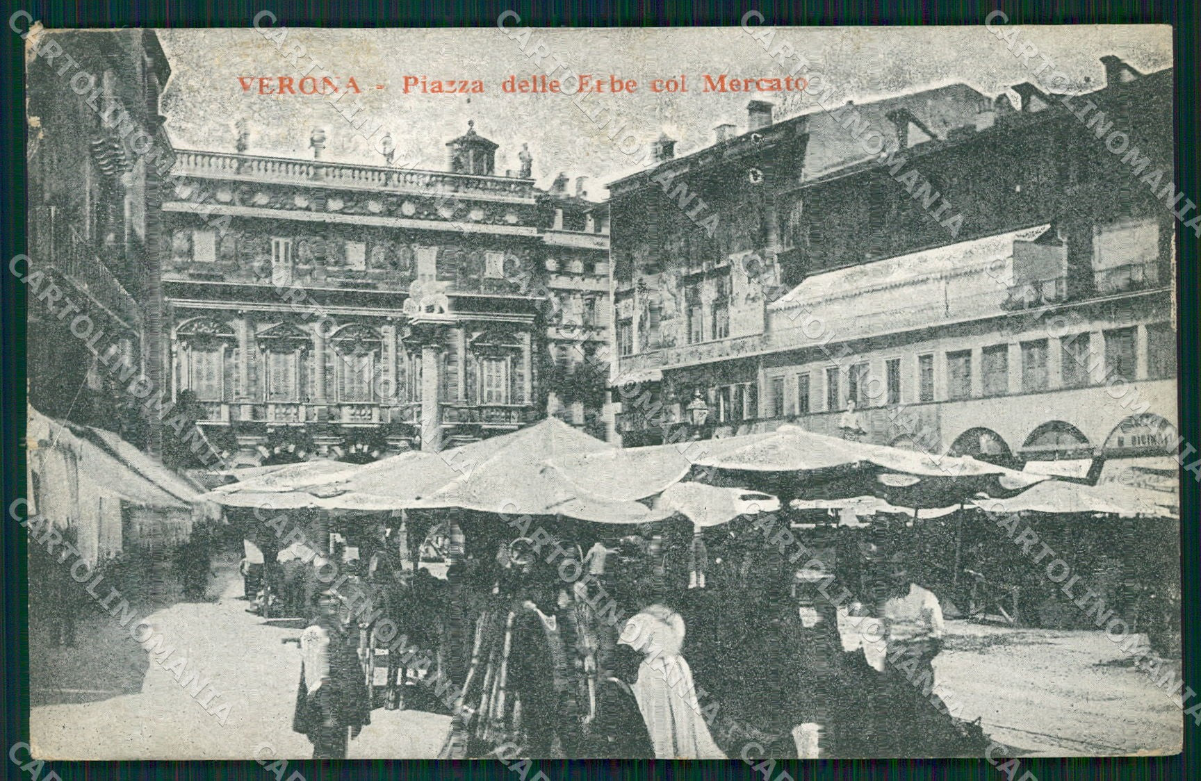Verona Città Piazza Erbe Mercato STRAPPINI cartolina QT4470 – fronte