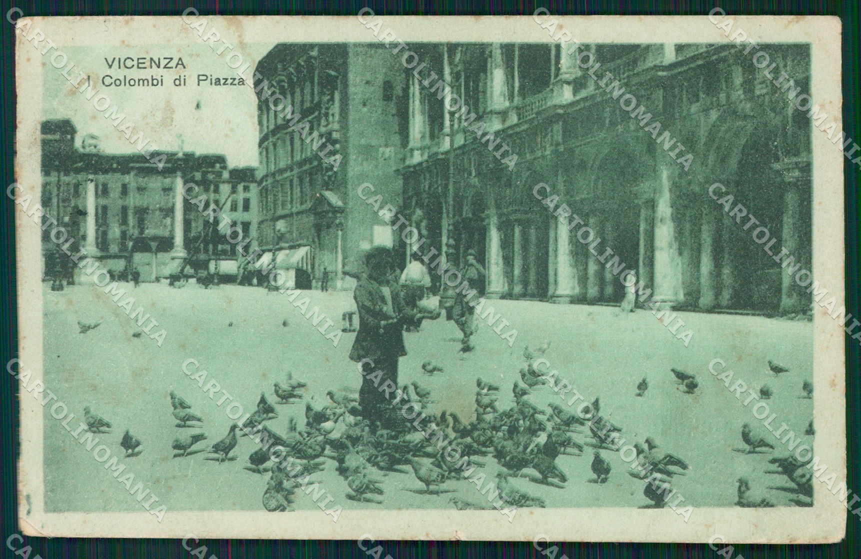 Vicenza Città Colombi ANGOLINO SCOLLATO cartolina QT4588 – fronte