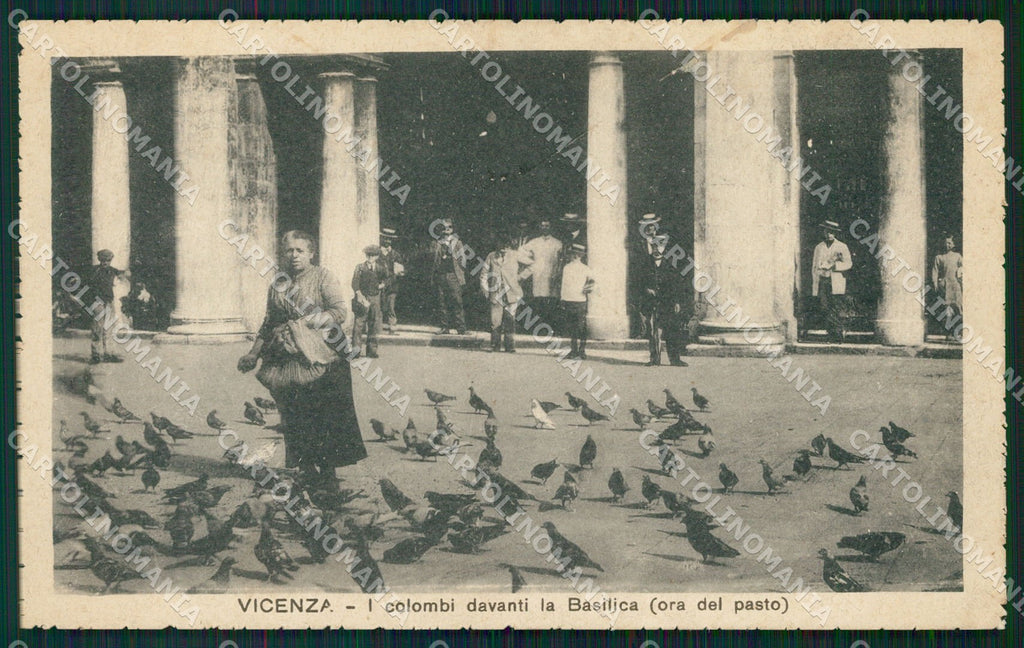 Vicenza Città Colombi cartolina QT4603 – fronte