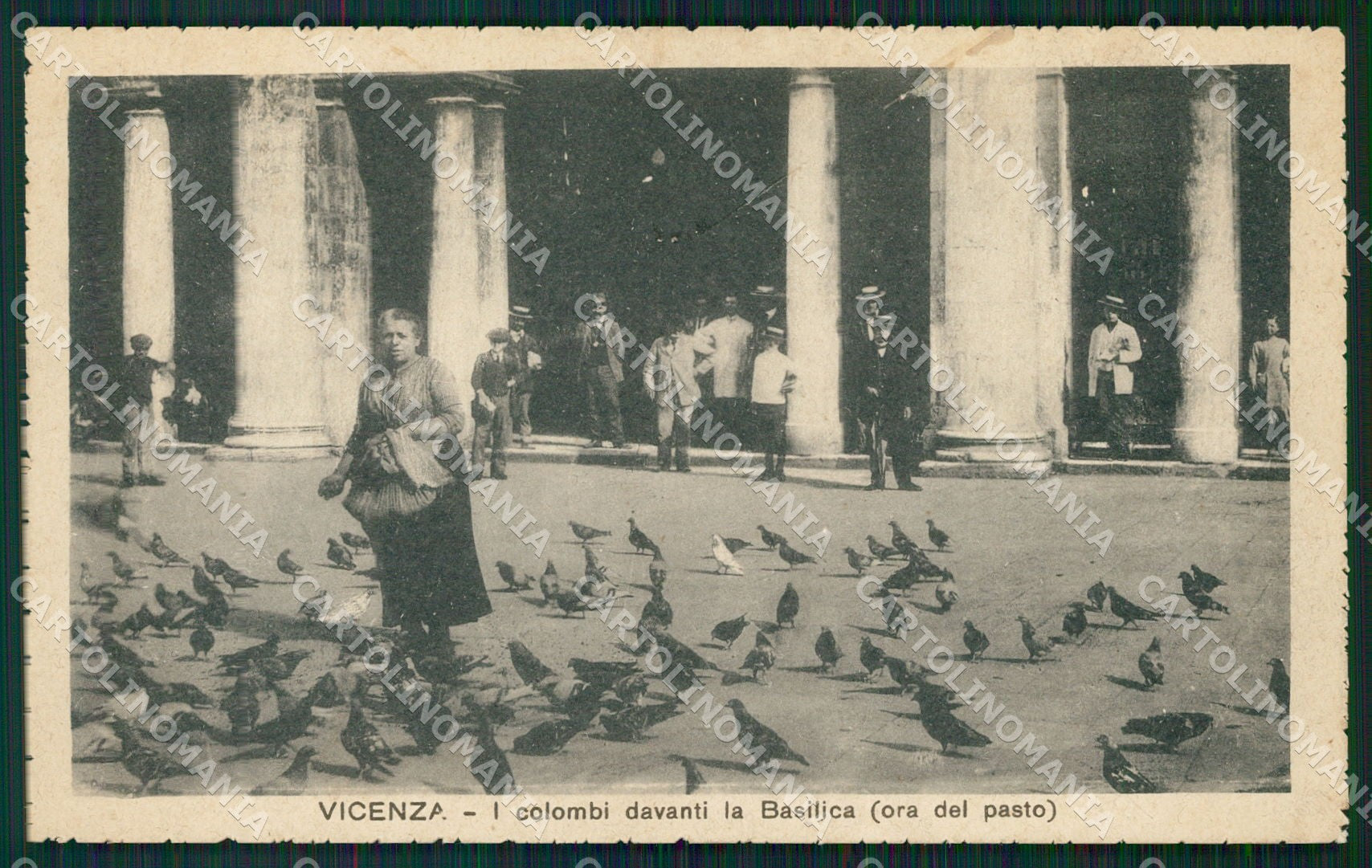 Vicenza Città Colombi cartolina QT4603 – fronte