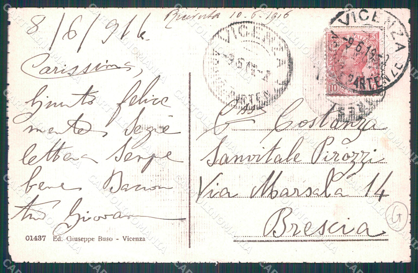 Vicenza Città Colombi cartolina QT4611 – retro
