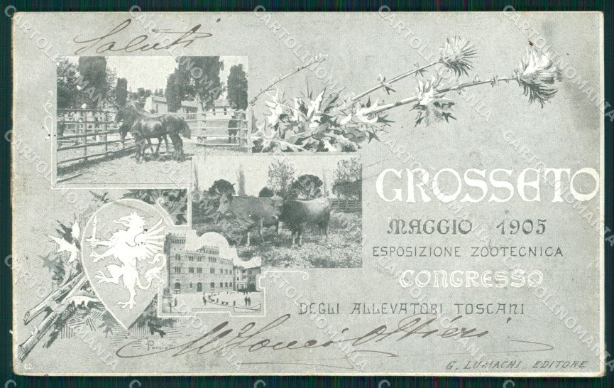Grosseto città Esposizione Zootecnica PIEGA RIFILATA cartolina QT4678 – fronte
