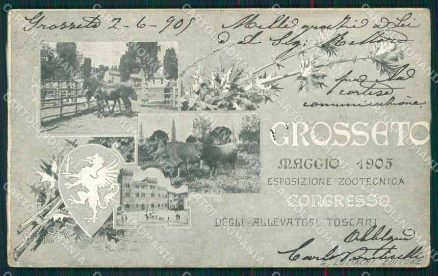 Grosseto città Esposizione Zootecnica PIEGHINA cartolina QT4679 – fronte