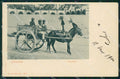 Palermo città Carretto cartolina QT4799 – fronte