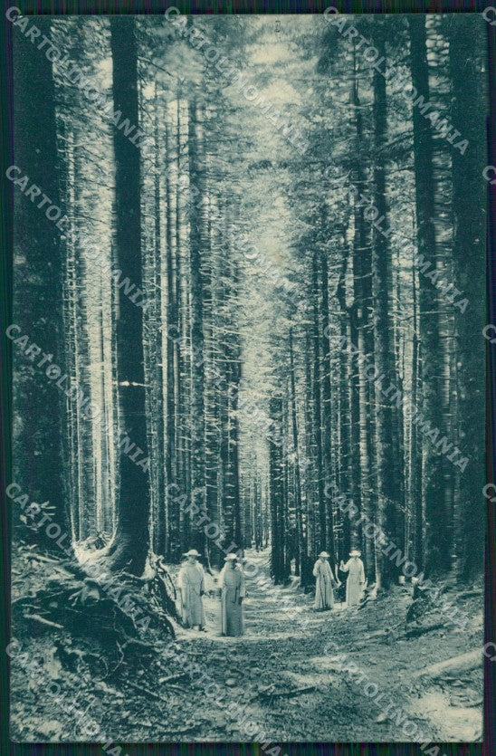 Arezzo Camaldoli Eremo Foresta cartolina QT4818 – fronte