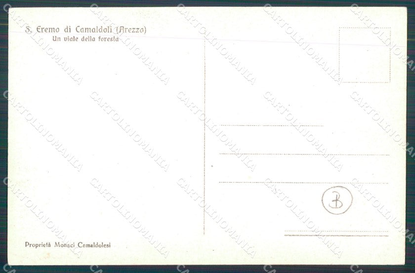 Arezzo Camaldoli Eremo Foresta cartolina QT4818 – retro
