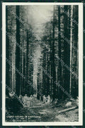 Arezzo Camaldoli Foresta Frati Foto cartolina QT4932 – fronte