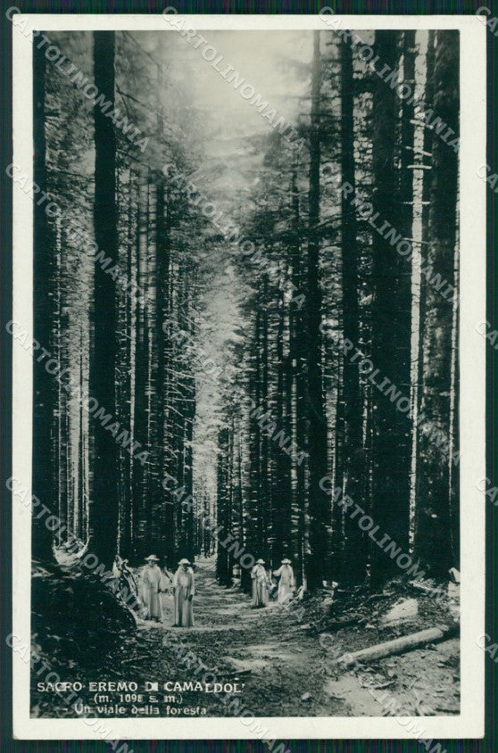 Arezzo Camaldoli Foresta Frati Foto cartolina QT4932 – fronte