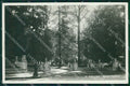 Avellino città Giardini Pubblici Foto cartolina QT5007 – fronte