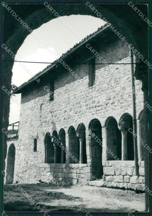 Pavia Pontenizza Eremo San Alberto FG cartolina QT5015 – fronte