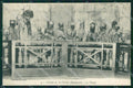 Francia Mummia Bordeaux Caveau St Michel Scheletro Skeleton postcard QT5023 – fronte