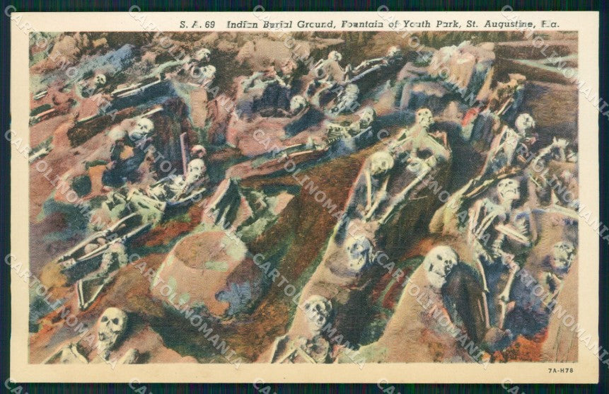 Florida Saint Augustine indian burial ground Scheletro Skeleton postcard QT5040 – fronte
