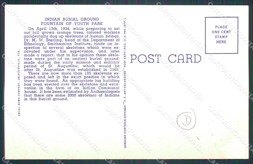 Florida Saint Augustine indian burial ground Scheletro Skeleton postcard QT5040 – retro