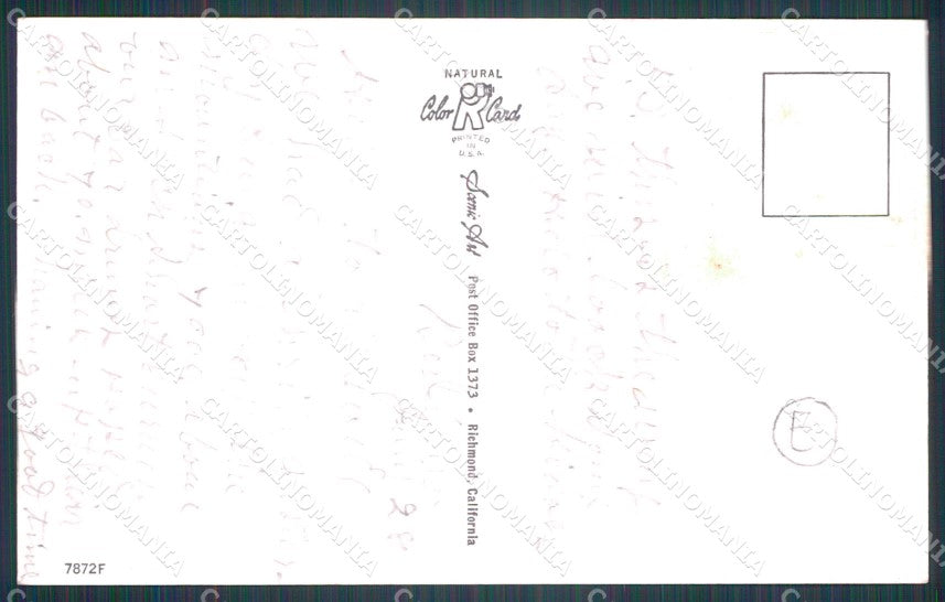 Sport Pesca Scheletro Skeleton Comica cartolina postcard QT5060 – retro