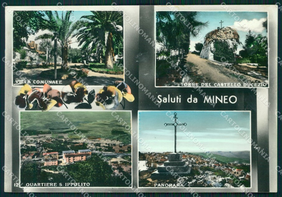 Catania Mineo Saluti da Foto FG cartolina QT5815 – fronte