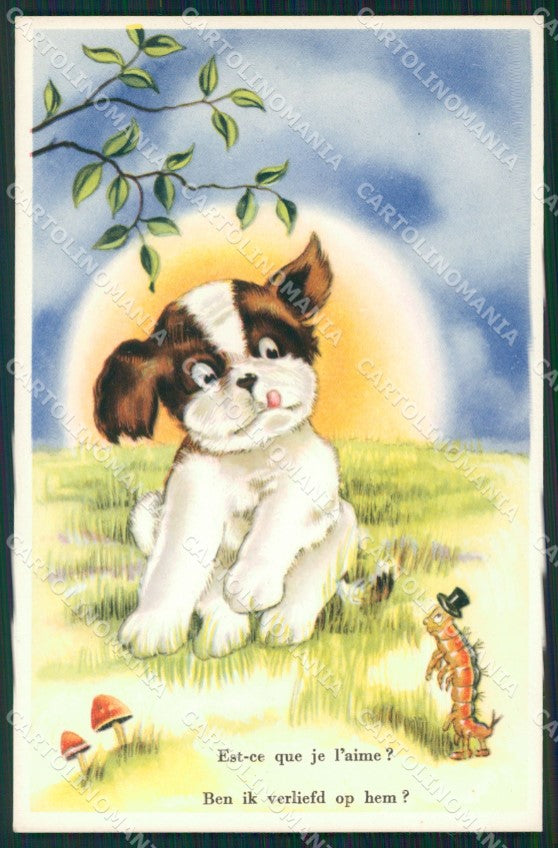 Dog and Mushroom postcard cartolina QT5932 – fronte