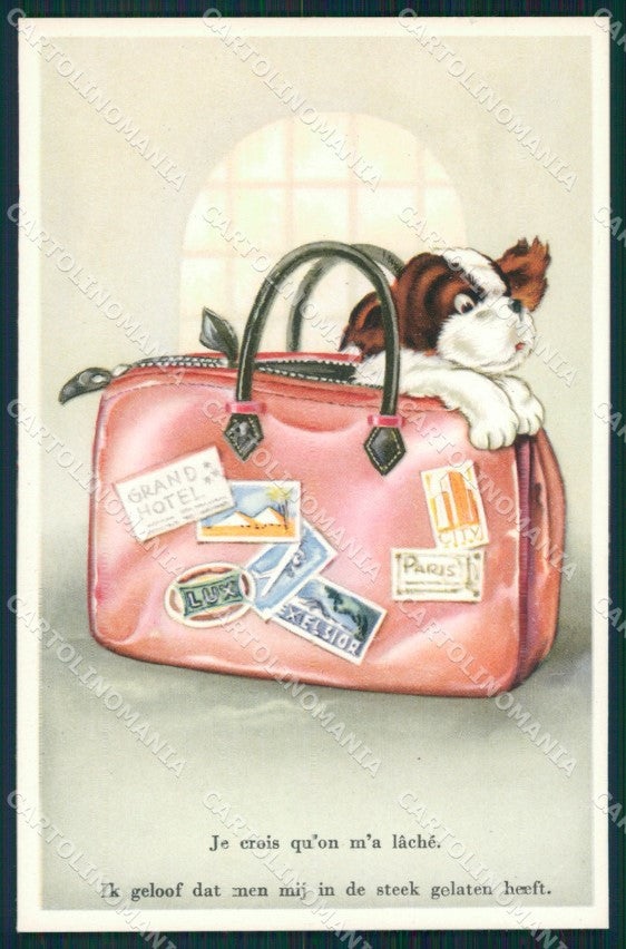 Dog and Big Case postcard cartolina QT5933 – fronte