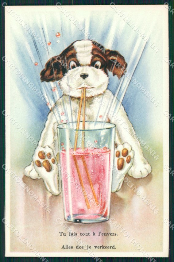 Dog postcard cartolina QT5934 – fronte