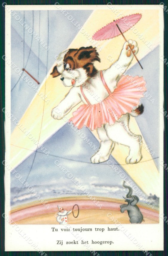 Dog and Circus Elephant postcard cartolina QT5935 – fronte