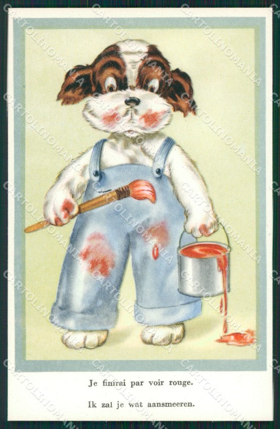 Dressed Dog postcard cartolina QT5936 – fronte