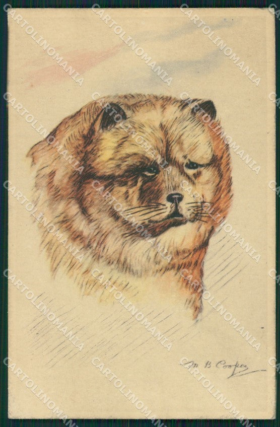 Chow Chow dog Cooper postcard cartolina QT5938 – fronte