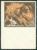 Pekingese dog FG postcard cartolina QT5941 – fronte