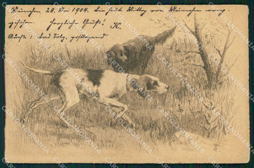Hunting dog P F postcard cartolina QT5947 – fronte