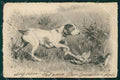 Hunting dog P F postcard cartolina QT5948 – fronte