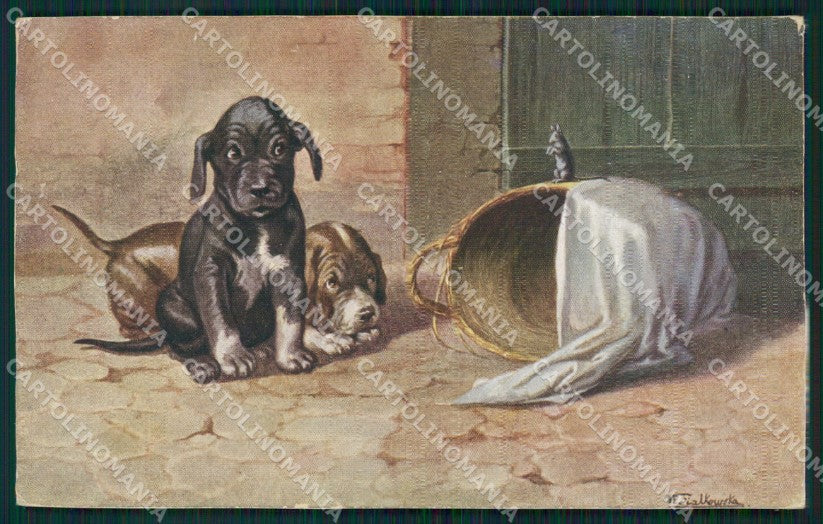 Dogs Mouse W Fialkowska TRACCE UMIDO UNGLUED postcard cartolina QT5987 – fronte