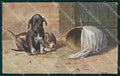 Dogs Mouse W Fialkowska TRACCE UMIDO UNGLUED postcard cartolina QT5987 – fronte