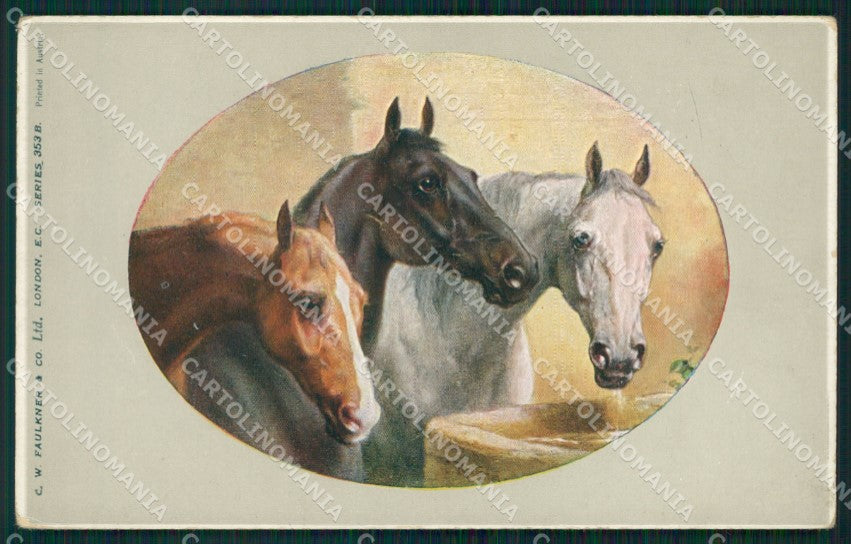 Horses Reichert postcard cartolina QT5988 – fronte