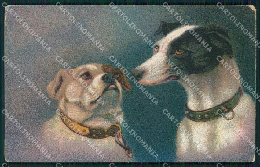 Dog postcard cartolina QT6132 – fronte