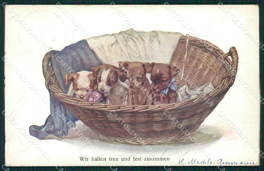 Dog puppy Grosmann B K W CORNER CREASES postcard cartolina QT6141 – fronte