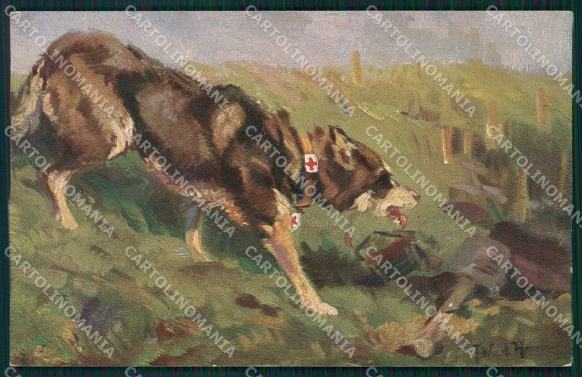 Red Cross Dog War postcard cartolina QT6143 – fronte