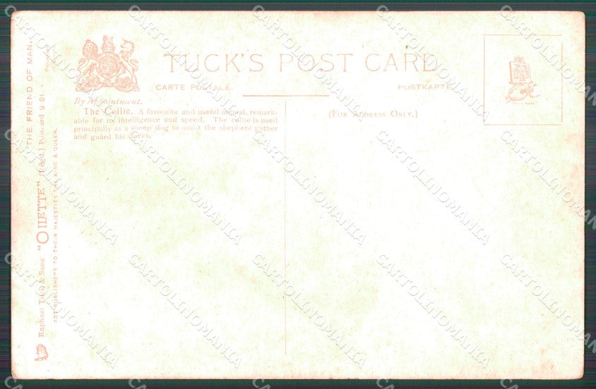 Collie dog Raphael Tuck postcard cartolina QT6151 – retro